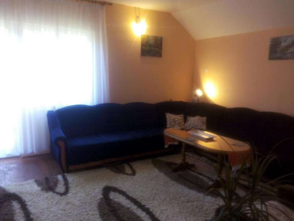 Guest House Radovic Tjentiste Exterior foto